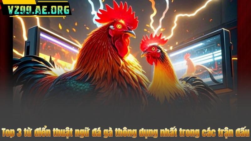 Từ Điển Thuật Ngữ Đá Gà Chi Tiết Nhất 2025 Từ VZ99 8 Top 3 từ điển thuật ngữ đá gà thông dụng nhất trong các trận đấu